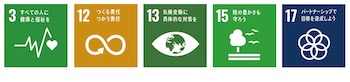SDGspage2.jpg